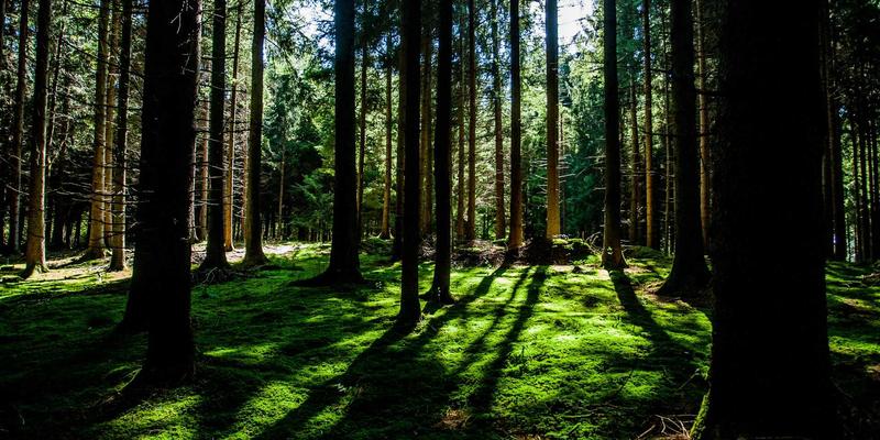 2024年网络技术趋势前瞻：开发者必备的工具与资源生态