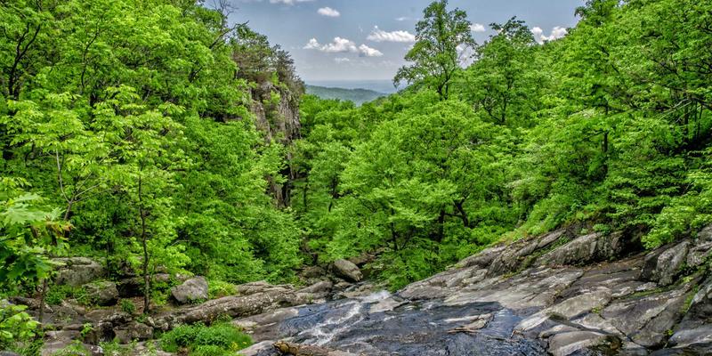 从复古网站到云原生：NFV与CNF的网络技术演进与资源分享