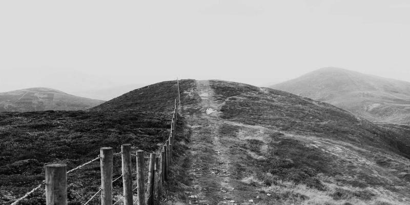 从复古网站到云端编程：NaaS如何用软件工具重塑网络开发