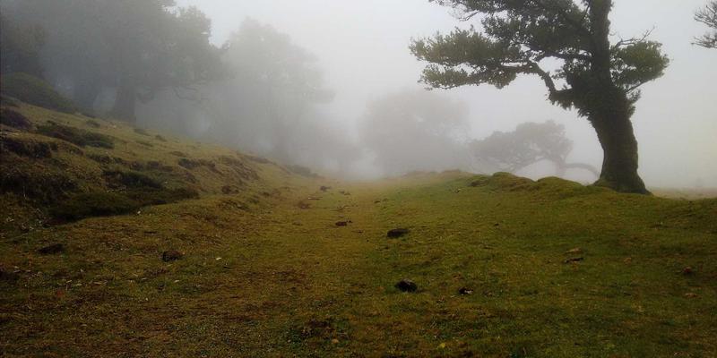 基于意图的网络（IBN）原理、实践与未来：自动化网络运维的新范式