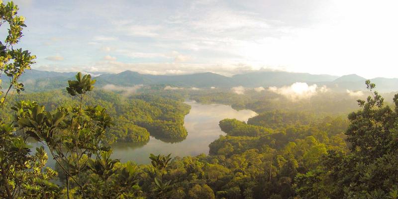 复古网站复兴：从编程开发到资源分享的技术案例分析