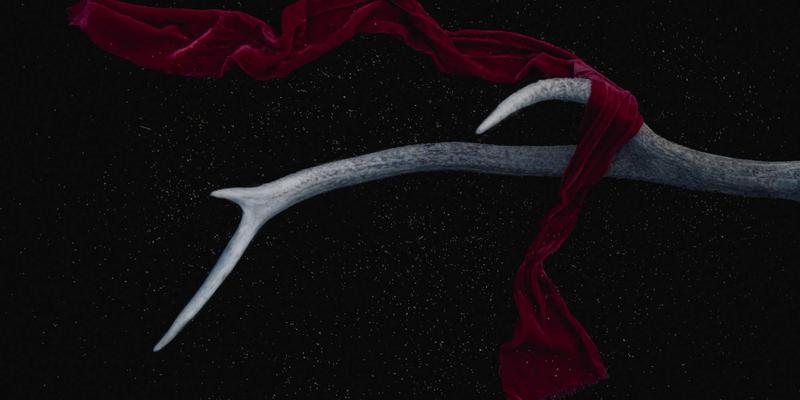 复古网站的技术新生：网络功能虚拟化性能瓶颈分析与DPDK优化方案