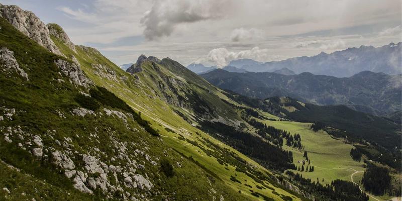 技术博客深度解析：如何通过WM WZDQ框架实现网络流量分析与用户行为画像