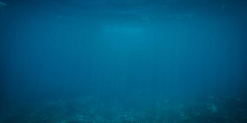 编程开发新利器：IPv6分段路由在数据中心网络的流量工程实践与工具资源分享