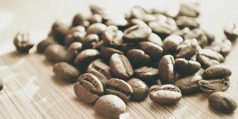 网络技术22：资源分享、技术博客与编程开发的高效融合指南