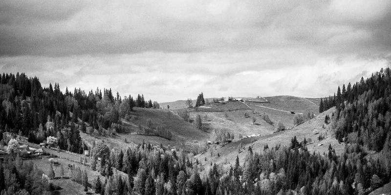 网络技术44：软件工具、技术博客与编程开发的融合之道