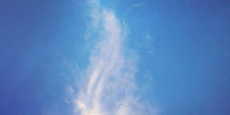 网络技术58：资源分享与WM WZDQ技术深度解析