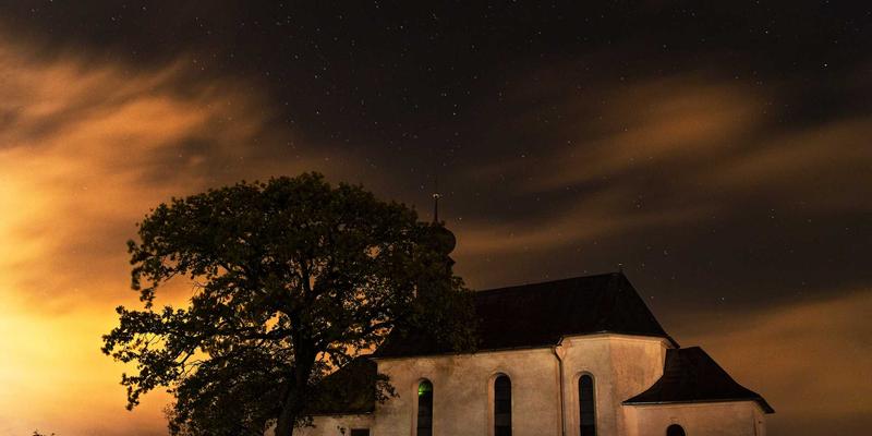 网络技术65：资源分享与技术博客如何赋能编程开发者的成长之路