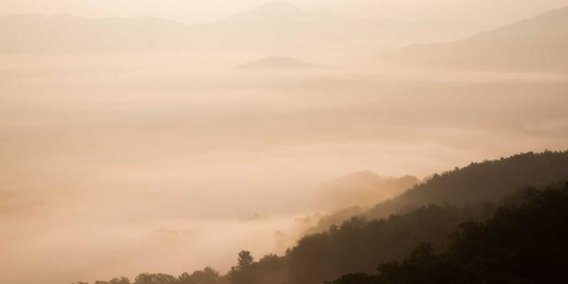 网络技术94：在复古网站与技术博客中重拾资源分享的纯粹乐趣