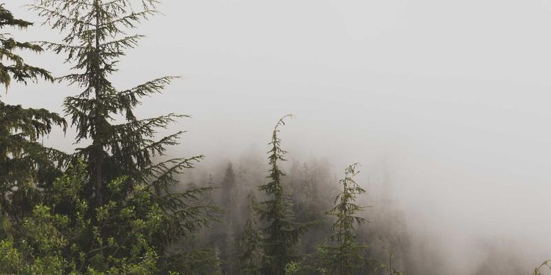 网络技术实战：构建基于SDP与微隔离的零信任安全模型