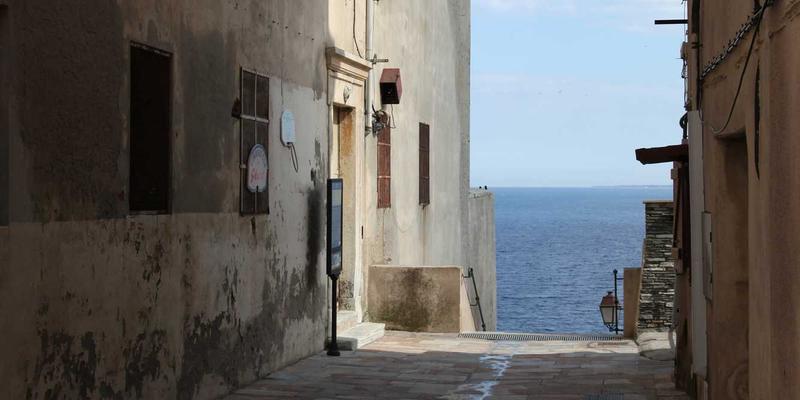 网络技术新选择：SD-WAN如何颠覆传统MPLS，为编程开发与复古网站优化赋能