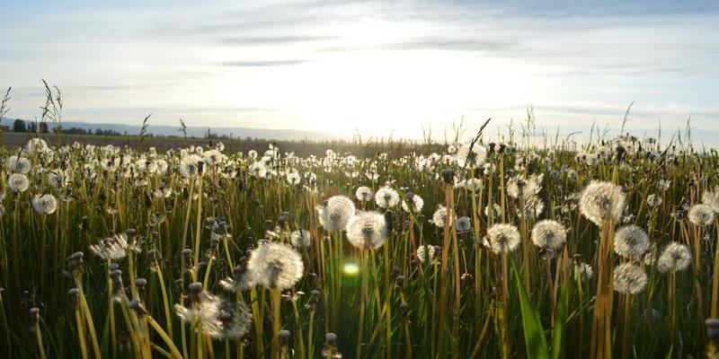网络技术是什么？从WM WZDQ到复古网站的技术演进与人文思考