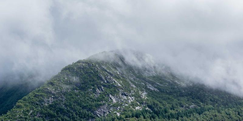 零信任网络架构（ZTNA）实施指南：破解企业远程办公安全与资源分享难题